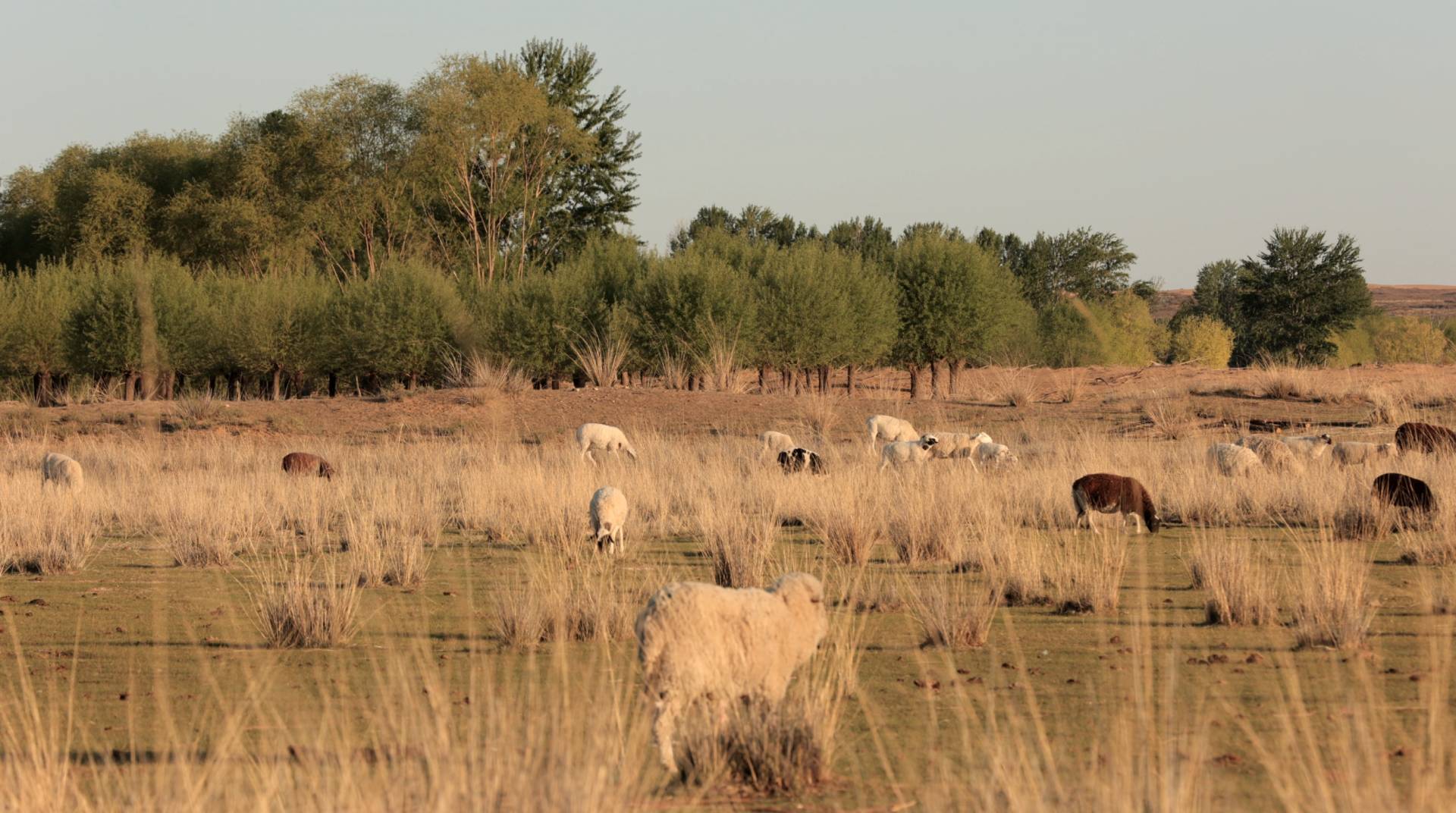 Wool Care Guide | Just Like Red